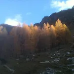 Zwargji 3*