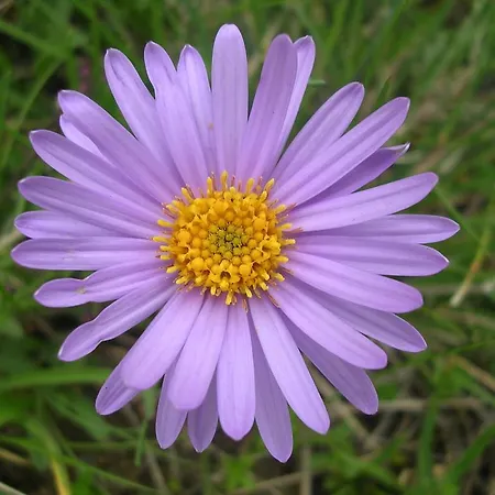 بيت ضيافة Zwargji 3*