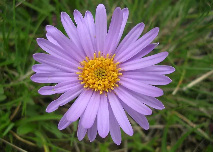 ゲストハウス Zwargji 3*